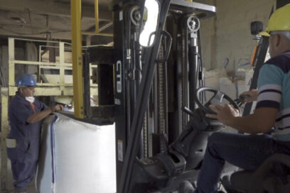 Empieza en Pinar producción de abate