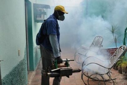 Arbovirosis: llamado a la población