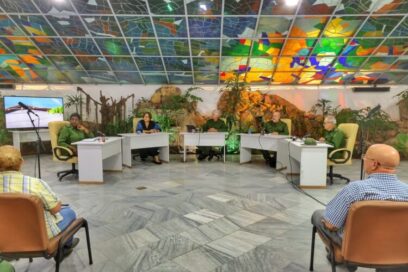 Trabajar mano a mano, para que renazca lo que desapareció con el ciclón