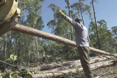 Desde el occidente por la recuperación