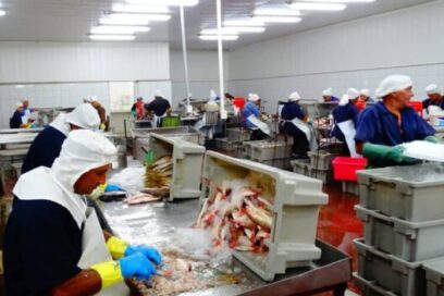 Expondrá Camagüey potencialidades comerciales en Feria de La Habana