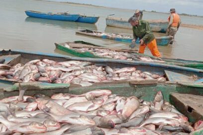 Pescar: oficio de mañas