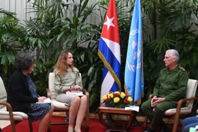 Recibió Díaz-Canel a relatora especial del Consejo de Derechos Humanos de las Naciones Unidas