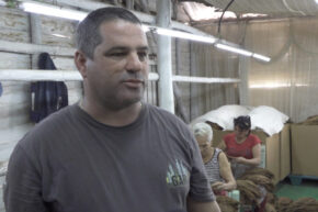 Ante el cambio climático