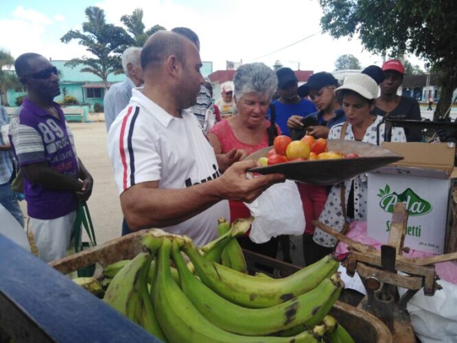 (Foto: José Luis Martínez Alejo)