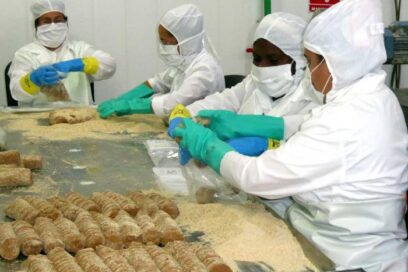 Halar parejo en la producción de alimentos nutritivos