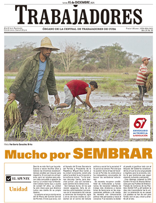 Lunes 15 de diciembre de 2025