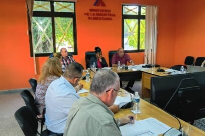 Reimpulsar es crecer en la producción de bienes y servicios