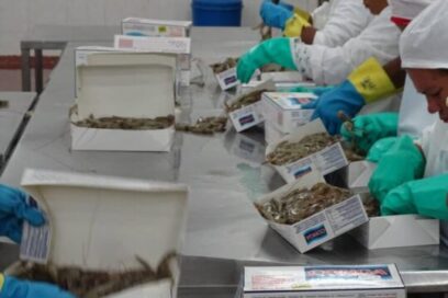 Prevé Camagüey incorporar productos a exportación