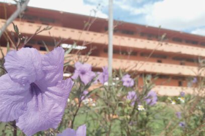 Proyecto Sociocultural Quisicuaba: El retorno a la vida