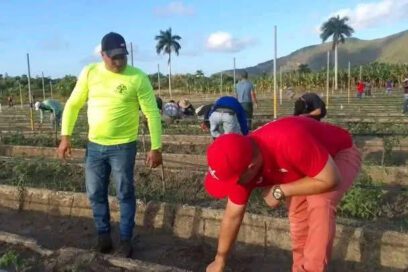 Entregados a la producción de alimentos