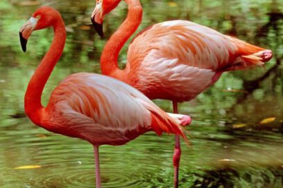 Ciencias con compromiso ambiental