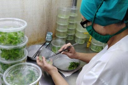 Ciego de Ávila potencia ciencia y tecnología