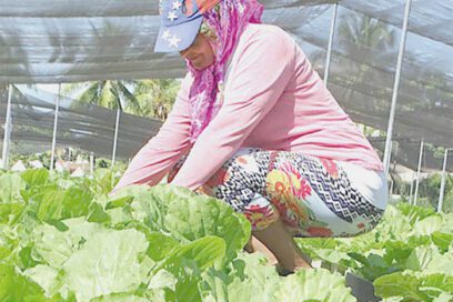 Revolución verde en marcha