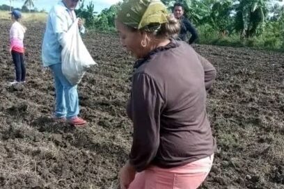 Celebran aniversario de la CTC con labores productivas en Camagüey