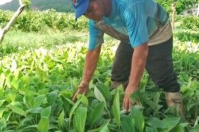 El surco llama y ahí estamos