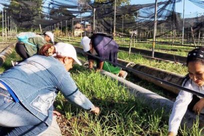 Tributo productivo a José Martí y a la CTC en Las Tunas