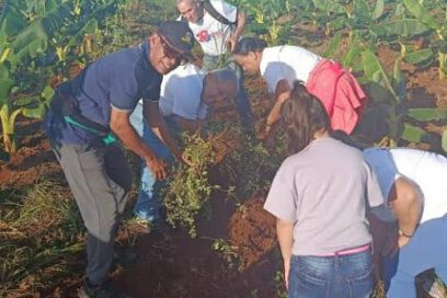 Un surco agradecido con la CTC matancera