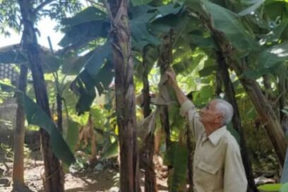 «La tierra siempre nos da frutos»