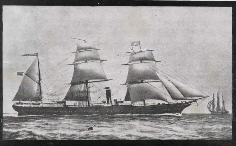 Ampliar imagen Ampliar imagen