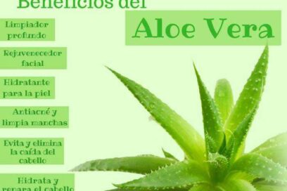 La planta de la inmortalidad