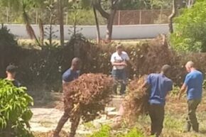 Colectivos santiagueros en jornada de trabajo voluntario