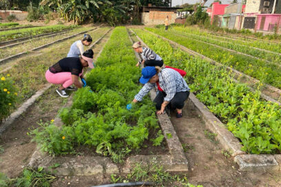 Contribuyen trabajadores camagüeyanos a higienización de la ciudad