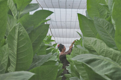 Esquema cerrado: ¿negocio redondo? (Separata Economía)