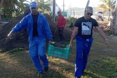 El sector de las comunicaciones en el surco 