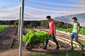 La CTC pinera dice presente