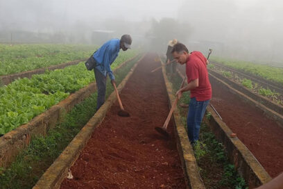 Es con todos la producción de alimentos