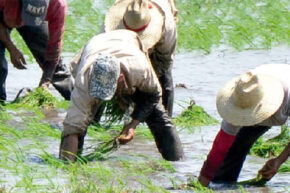 Medidas de gobierno: Nos fortalecemos en la adversidad