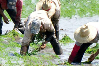Medidas de gobierno: Nos fortalecemos en la adversidad