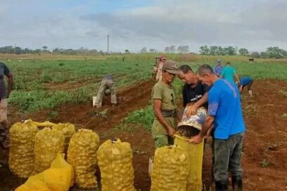 Frutos de una apuesta agroecológica