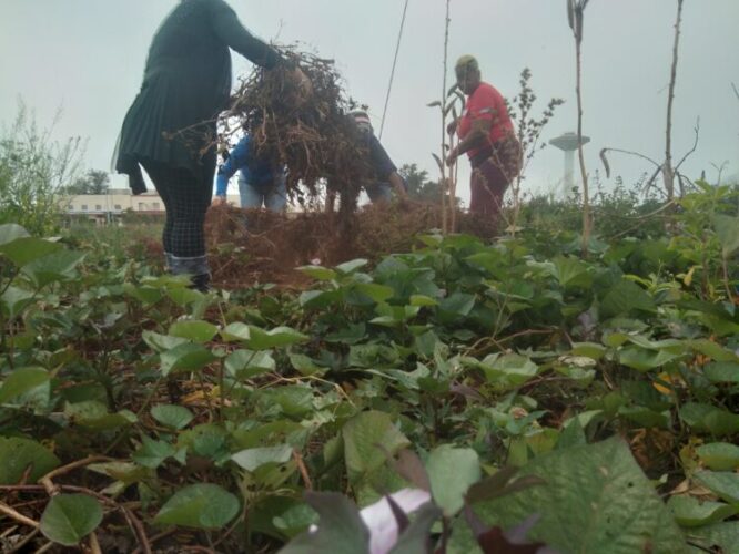 Siempre habrá cómo aportar de manera individual en beneficio colectivo (Foto Yudaisis Moreno Benítez)