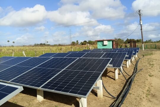 Llegó para quedarse