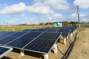 Llegó para quedarse