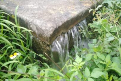 Derroche a chorro (+Videos)