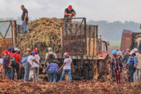 La clave es trabajar, crecer y vencer