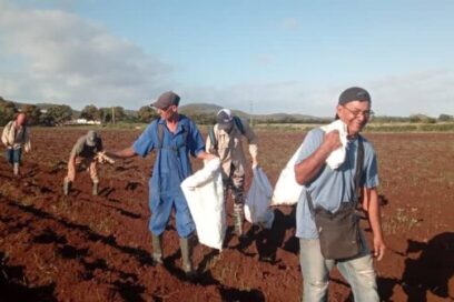 Protagonizaron dirigentes sindicales jornada de trabajo voluntario en Holguín