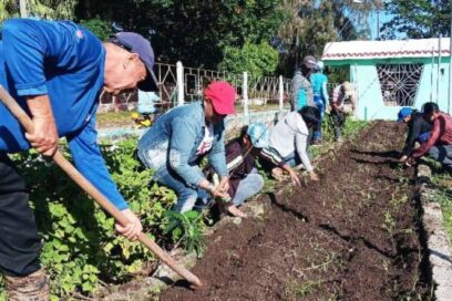 Sembrando confianza en el futuro