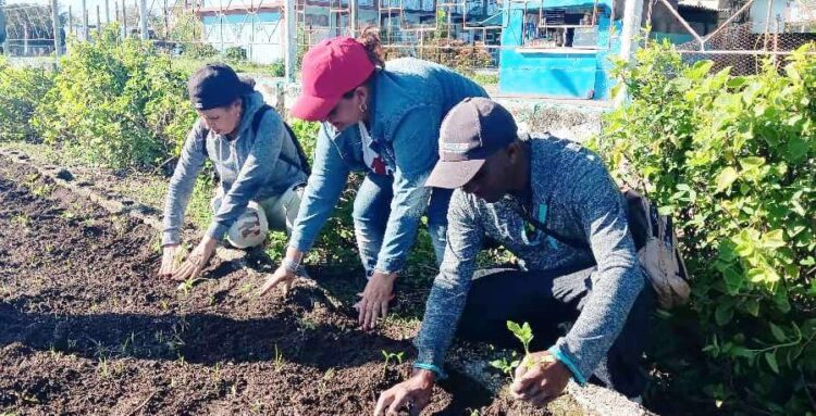 Fotos: Jorge Pérez Cruz
