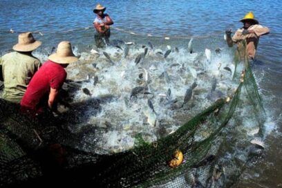 Ganó Holguín sede nacional por el Día del Trabajador de laIndustria Pesquera
