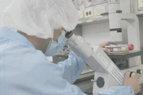 Mipymes estatales: Opción posible (Separata Economía)