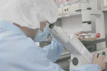 Mipymes estatales: Opción posible (Separata Economía)