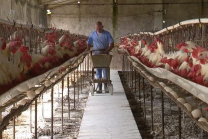 CTC tras los números de empresas con pérdidas económicas