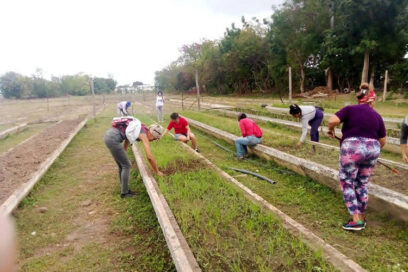 Surcos con «olor» a mujer 