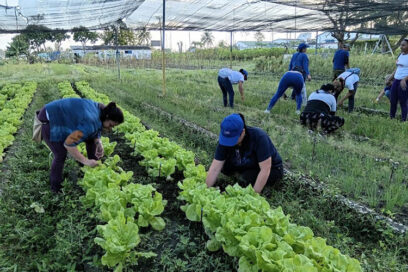 Jornada de trabajo voluntario en saludo al 1 de Mayo y al 22 Congreso de la CTC