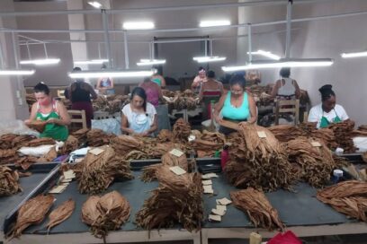 Vanguardia Nacional, un mérito de tabacaleros de Artemisa