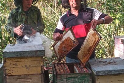 Un premio dulce para la única ganadora del país
